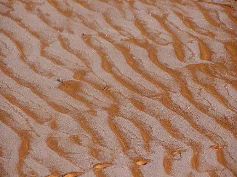 Snowfall turns Sahara into winter dreamland
