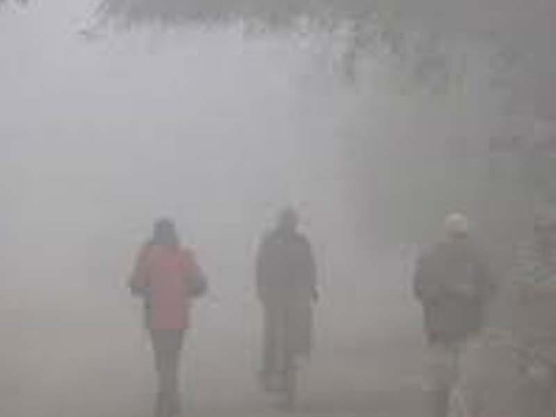 Telangana in grip of severe cold wave conditions