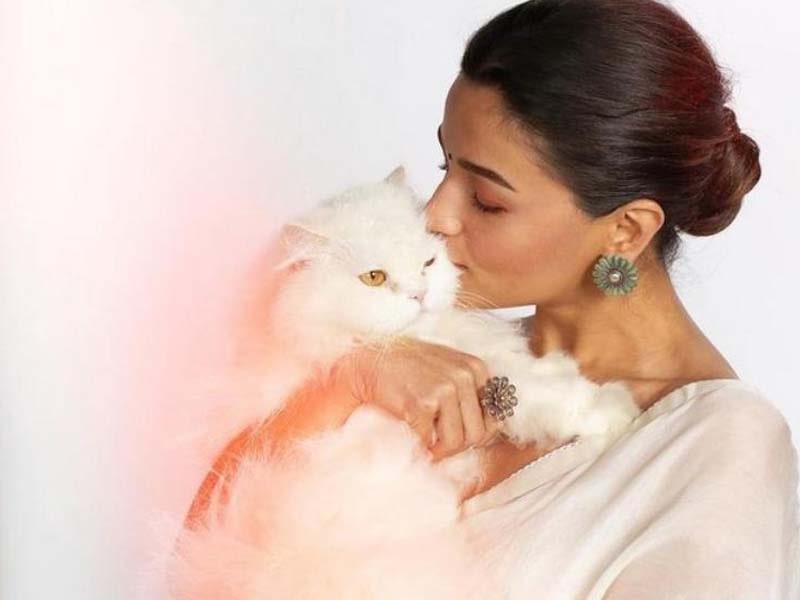 Gangubai with Edward Bhai win hearts