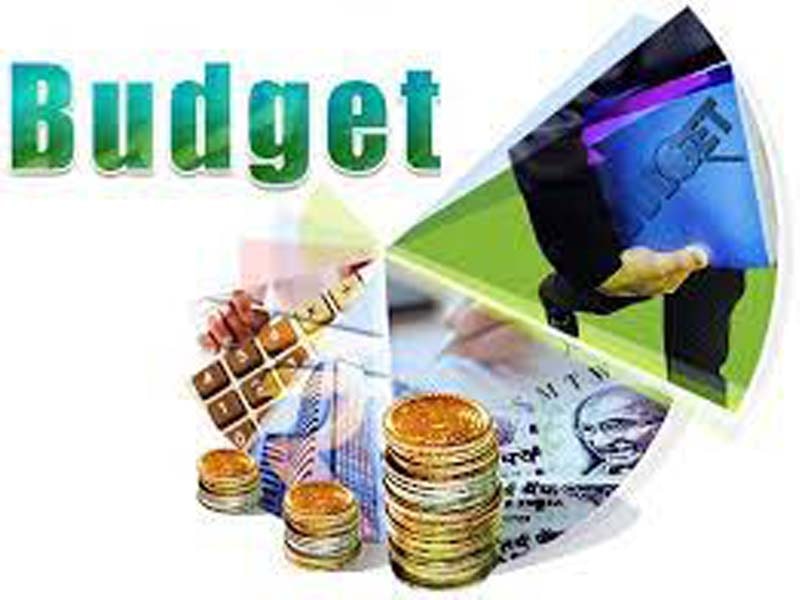 Budget: Income tax rates unchanged, big boost to capex
