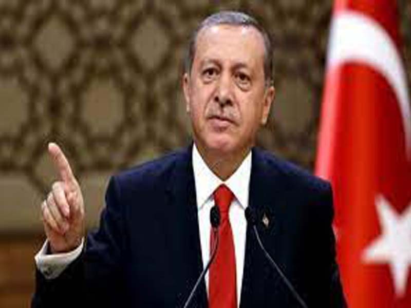 Turkey to add Black Sea gas to its energy system : Erdogan