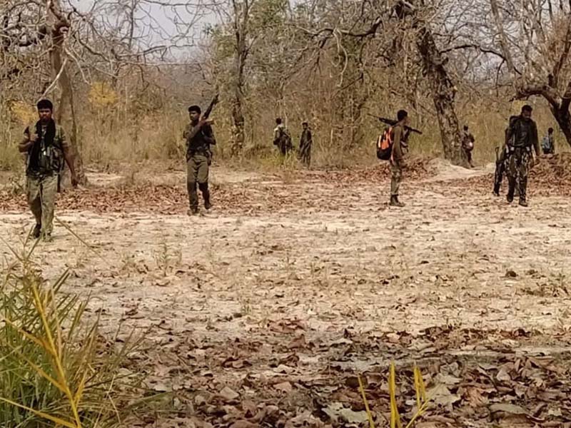 Naxal slain in Chhattisgarh.