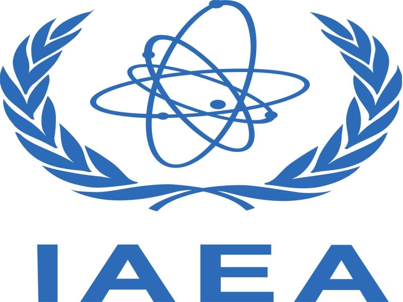 Seized Ukraine’s largest nuclear power plant: Russia