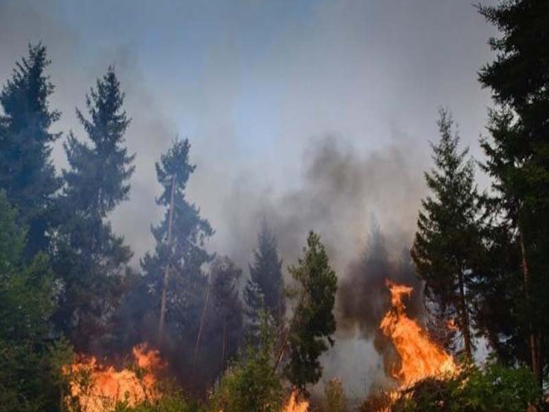 Portugal to enter “contingency situation” to fight wild fires caused by heat wave