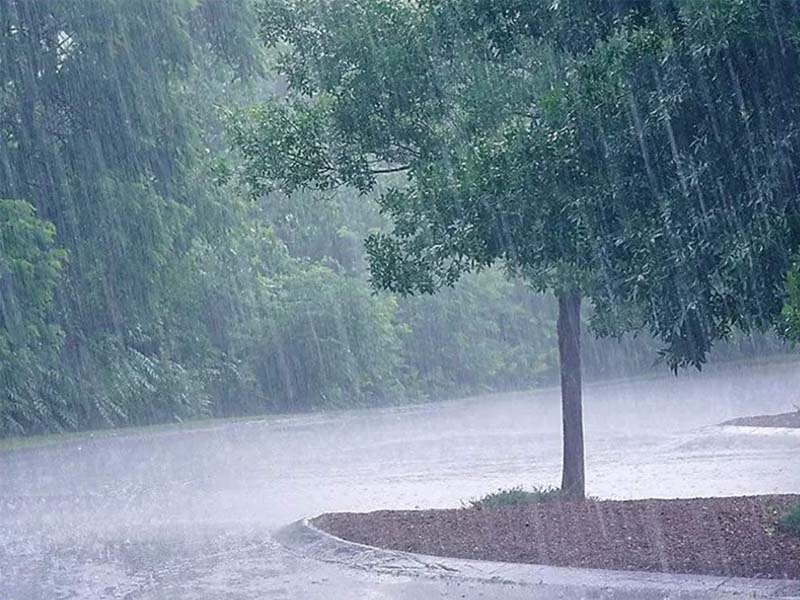 Heavy rain likely in Telangana
