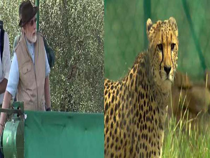 Economy and ecology are not at cross purposes: Modi