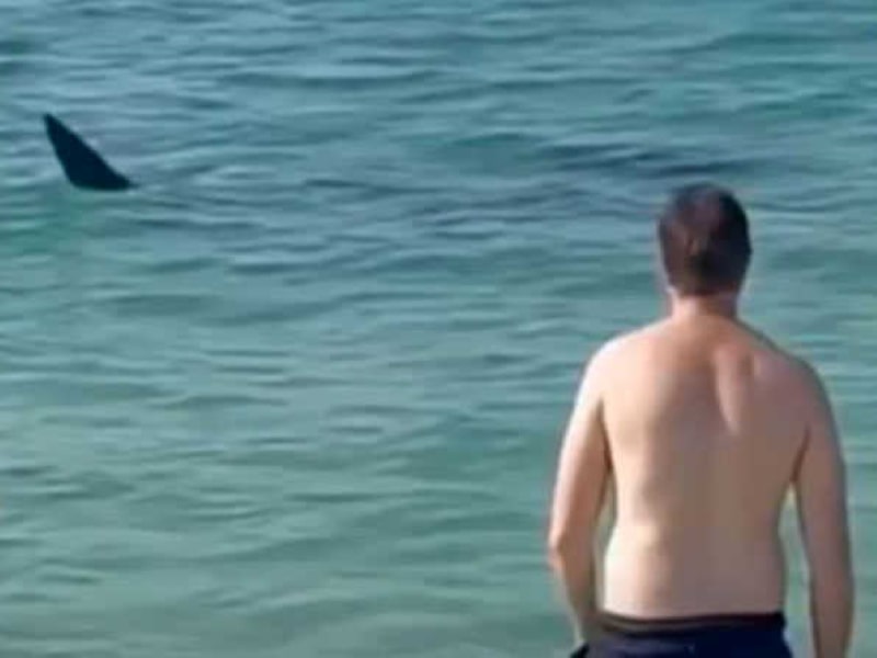 On a Dubai beach, a giant shark pursues its victim.