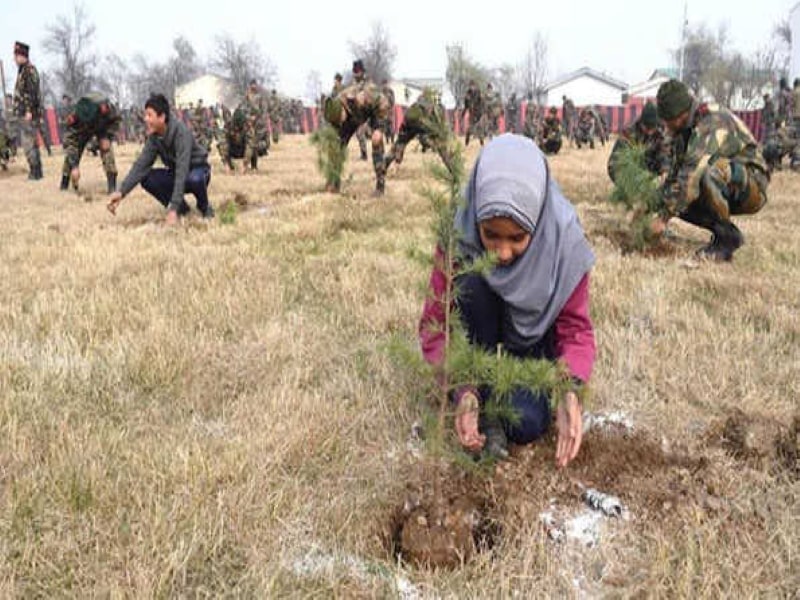 At JAKLI Srinagar, the Army held a huge plantation driver