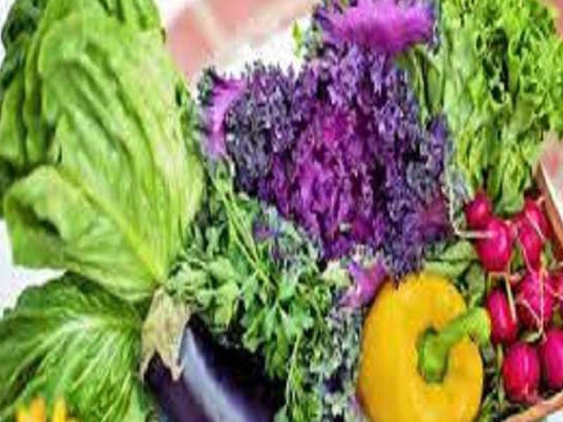 Expanding Agro-Industrial Production Cooperation is agreed upon by G7 Ministers: