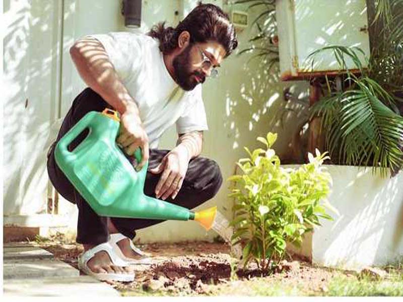 On “World Environment Day,” Allu Arjun planted trees