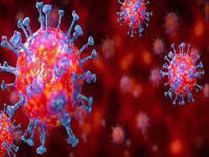 Scientists create a coronavirus detection tool called “check it in the air”