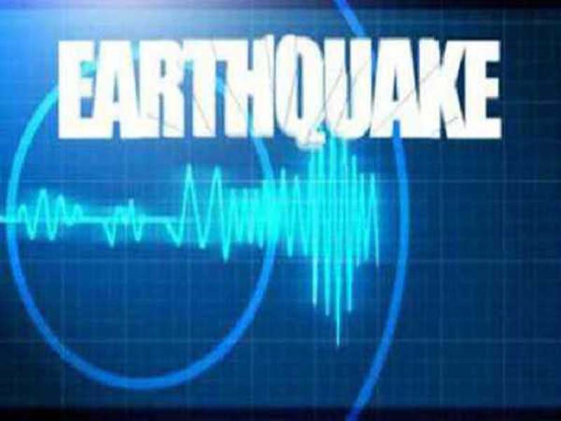 Ibaraki, Japan, shaken by 4.8-magnitude earthquake: JMA
