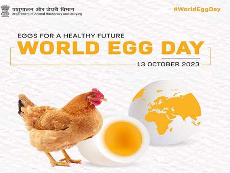 Eggs aid in the development of healthy cholesterol, which heals muscles: NECC