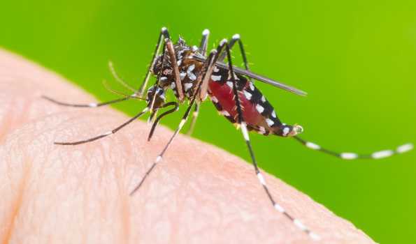 Dengue deaths in Bangladesh exceed 1,600.