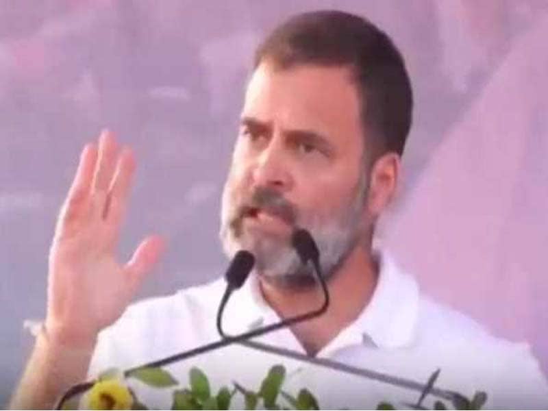 Rahul says that PM Modi wants to privatize everything.