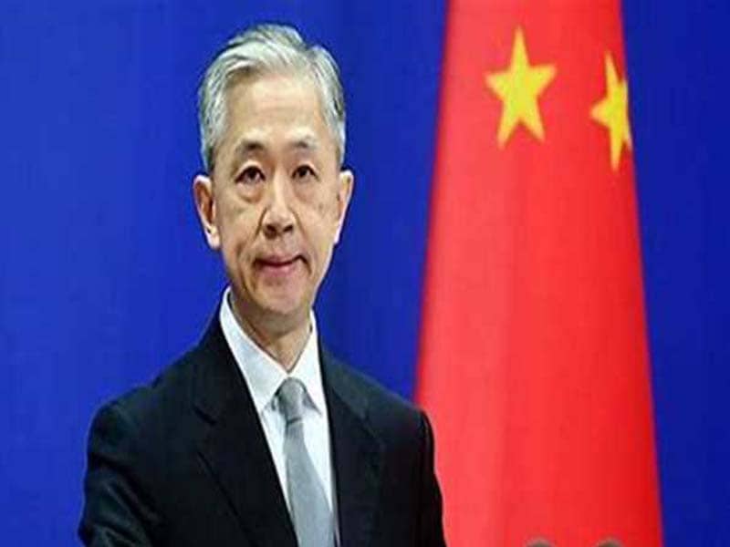 China and the US will continue to collaborate on panda conservation: FM