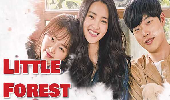 On November 30, the Korean film “Little Forest” will be shown at IIC.