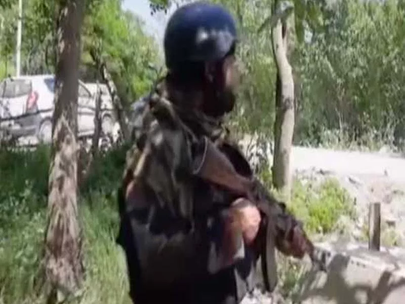 J&K: Three individuals detained in Pulwama; weapons found