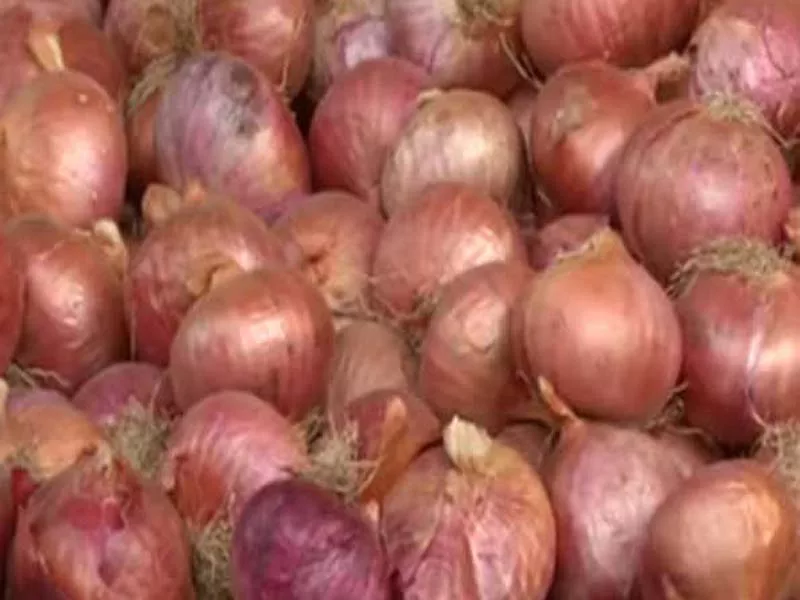 To control inflation, the center prohibits the export of onions until March 2024.