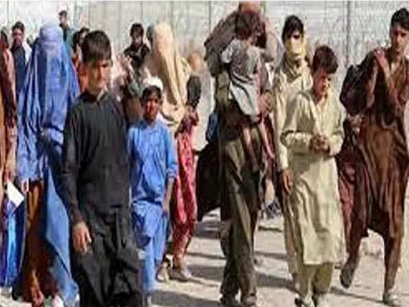 800,000 Afghans flee to their homeland: an official
