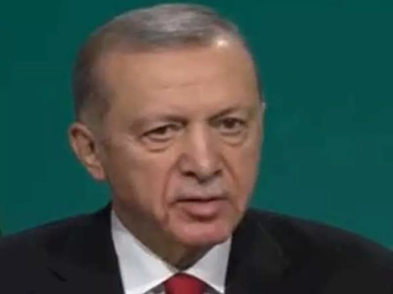 Erdogan and the UAE leader talked about the next steps toward a ceasefire in Gaza.