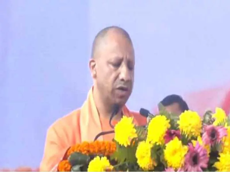 Yogi: Cruise services can increase tourism and job opportunities.