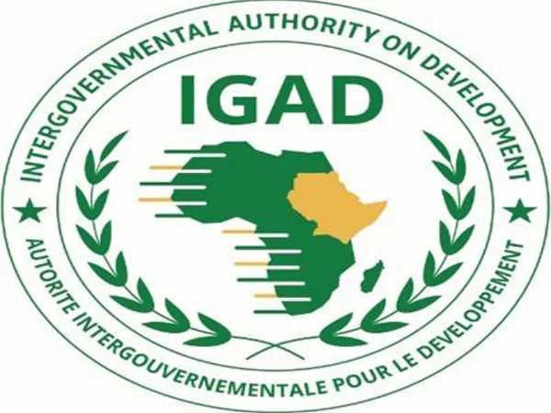 According to Sudan’s Sovereignty Council, they declined to attend the IGAD summit.