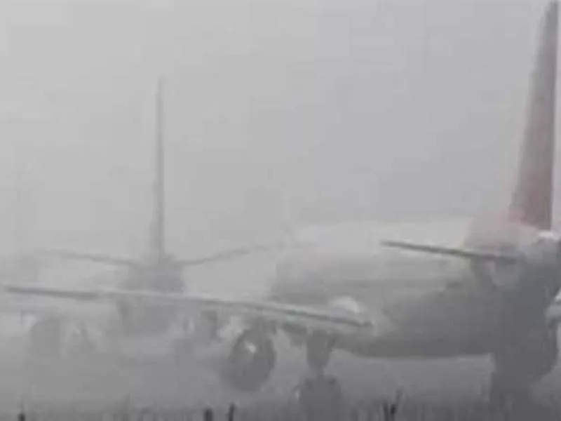 There are 84 canceled flights due to the thick fog covering northern India.