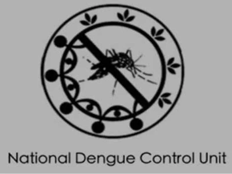Reports of a sharp increase in dengue mosquitoes in SL