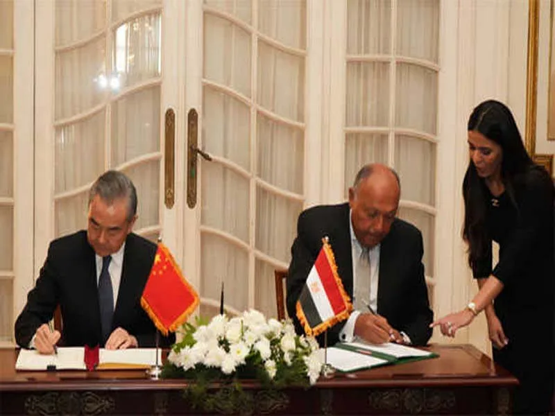 China and Egypt decide to keep working together to find a solution for the Palestinian problem.