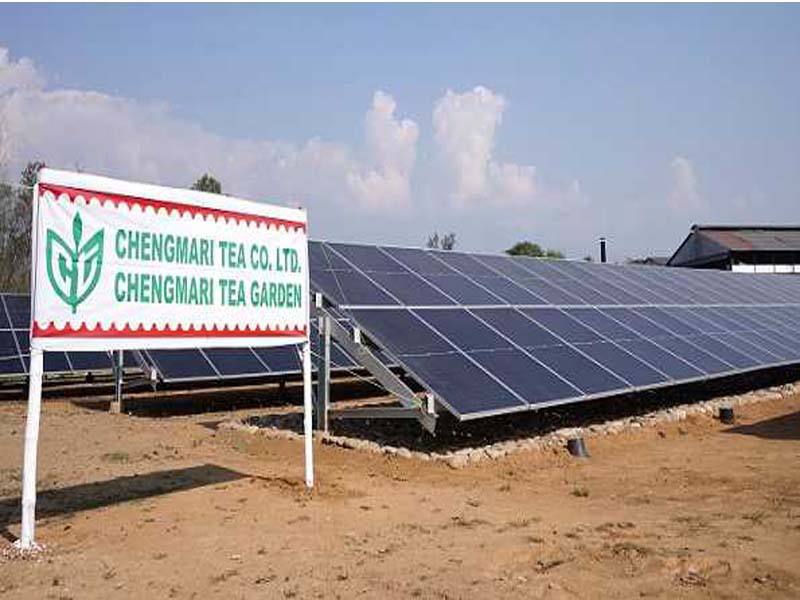 TPREL uses cutting-edge solar power technology to illuminate the biggest tea farm in Asia.