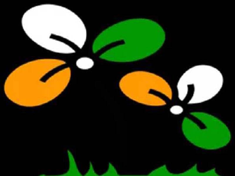 Parties nominated by the TMC and BJP for the RS election