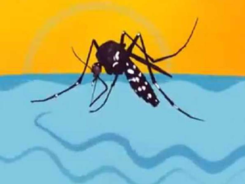 Italy increases border alert for dengue