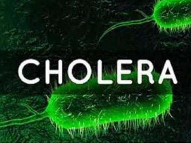 There are 46 probable cholera cases in South Africa.