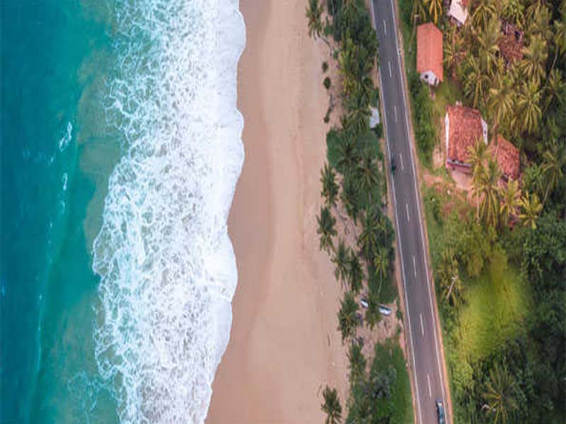 In the first 45 days of 2024, tourism brings in record revenues for SL