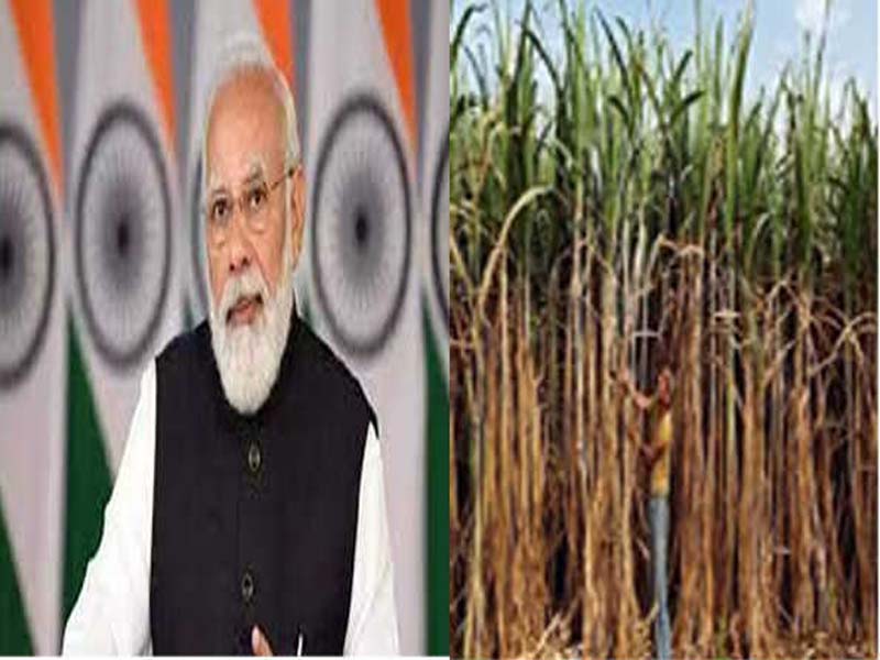 PM Modi praises the cabinet decision to raise sugarcane prices, referring to it as ‘historic’.