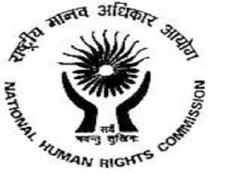 NHRC requests a report from the Delhi government and police in response to a toddler killed by stray dogs.