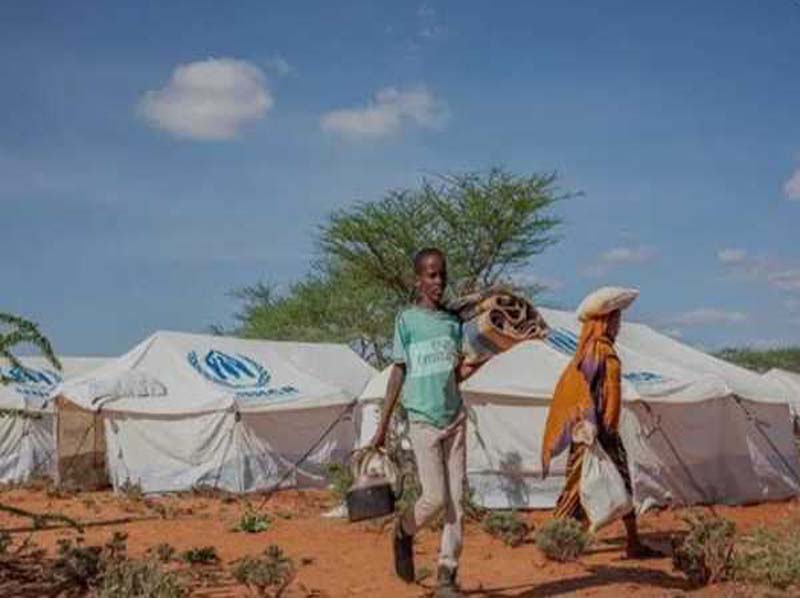 Clashes in northern Ethiopia have forced more than 50,000 people to flee – UN