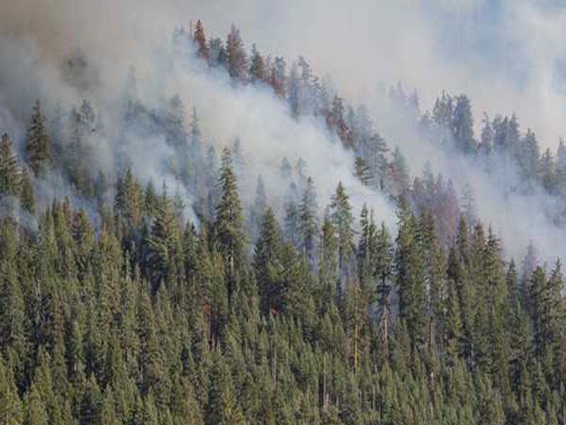 6,600 people were evacuated from a western Canada wildfire.