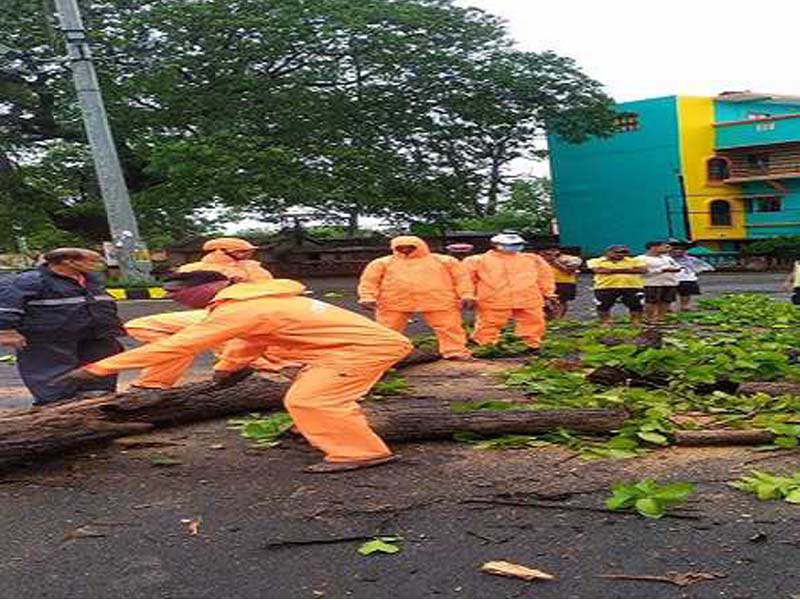 Cyclone Remal: Four district collectors are asked by the Odisha government to provide ODRAF and fire services.