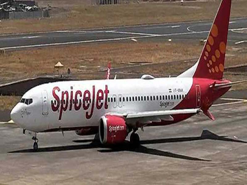 After a bird strike, a SpiceJet flight headed for Leh returns to Delhi.