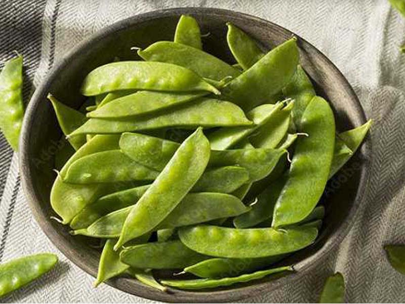 PM praises J&K’s sale of snow peas to London