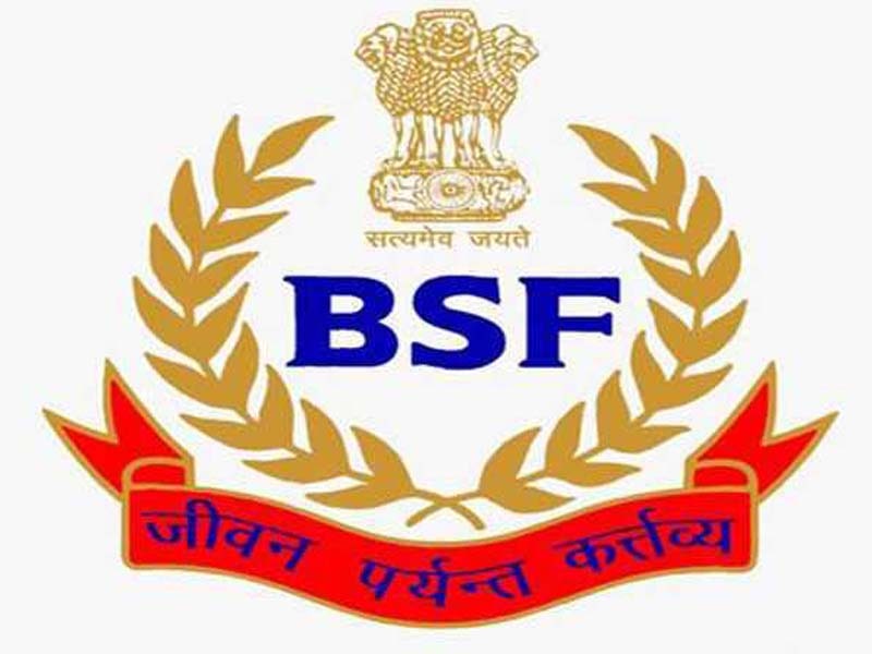 BSF has taken action against touts who have helped Bangladeshi nationals enter India.