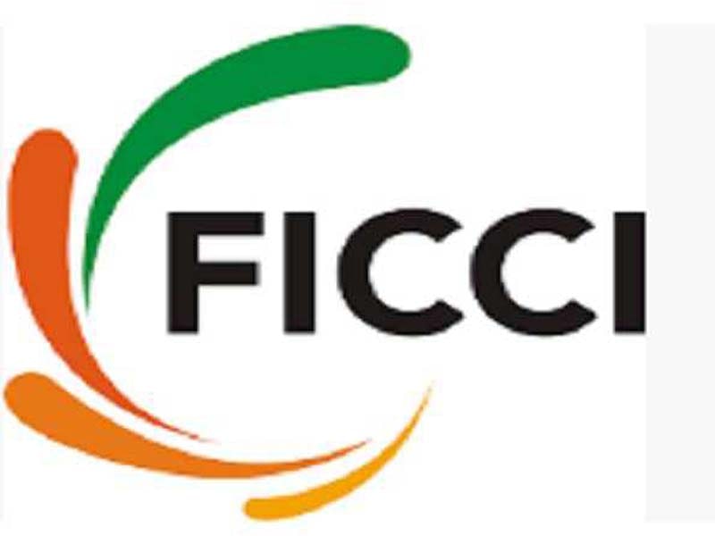Now let us examine the next set of adjustments to achieve stronger eco growth: FICCI