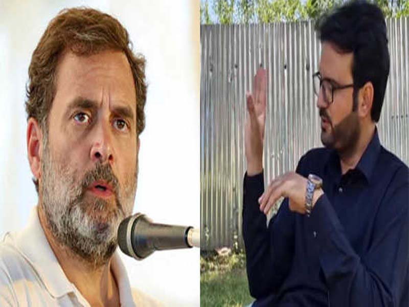 Rahul Gandhi failed to carry out his duties as the opposition’s leader: AIP
