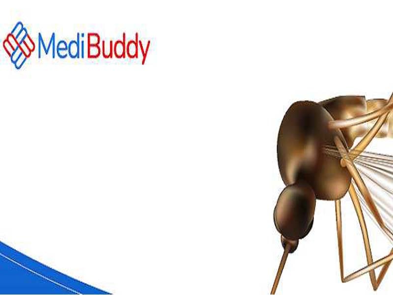Significant rise in dengue tests in Hyderabad and Bengaluru: MediBuddy report