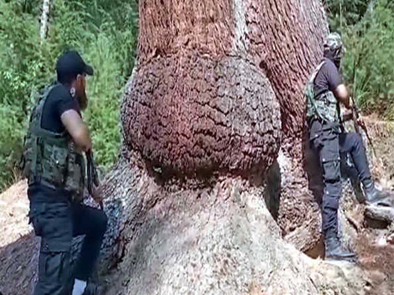 Soldier and militant killed in gunfight at Kupwara, J&K