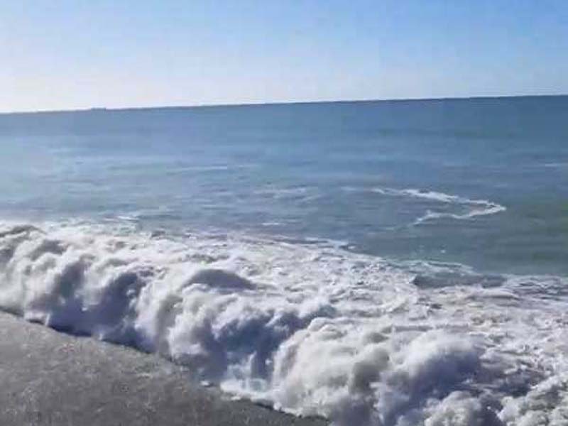 The oceanic and coastal waters of New Zealand are at their highest point since 1982.