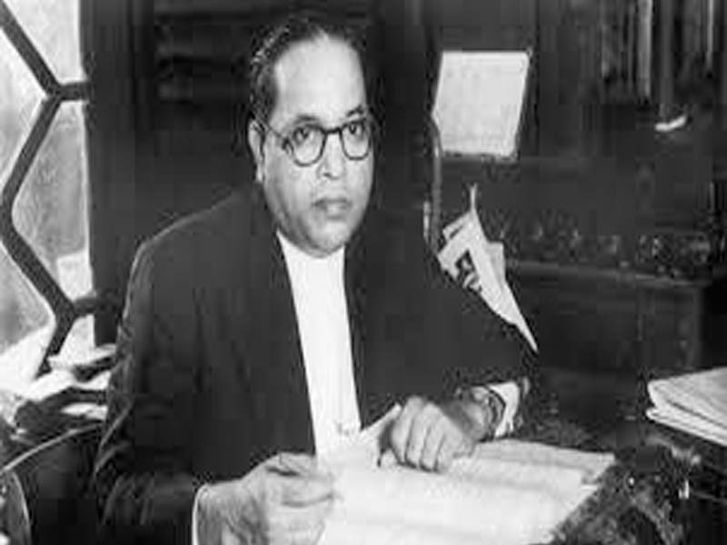 The Ambedkar Award will go to Sanjivani Mujumdar.