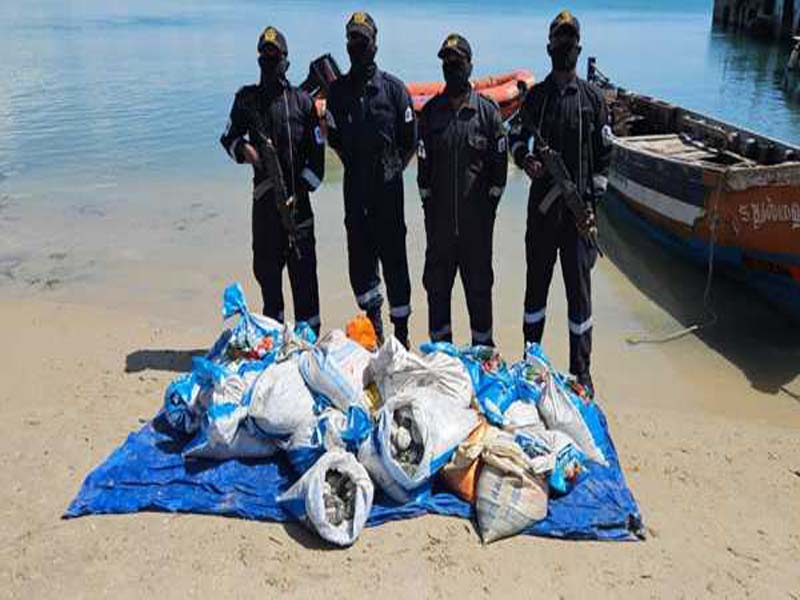 450 kg of sea cucumbers worth Rs 1.8 cr are seized by ICG.